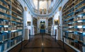 Duchess Anna AmaliaÃ¢â¬â¢s library in Weimar, Germany Royalty Free Stock Photo